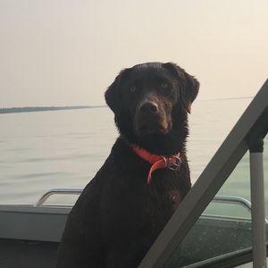 Meet your Posher, Amber